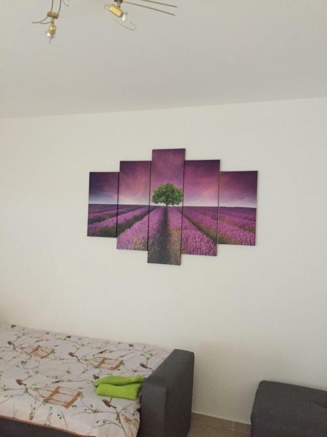Apartment Brno PUY 외부 사진